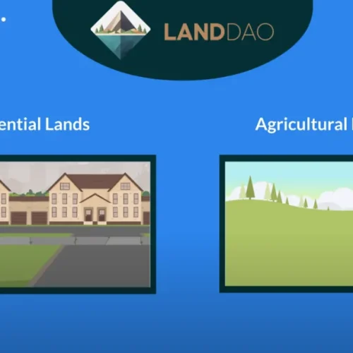 How LandDAO Works: A Video Explainer
